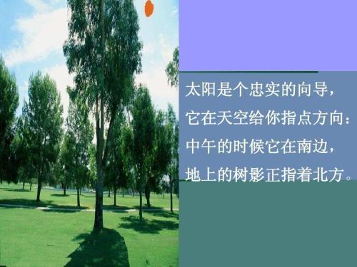 指的拼音和组词（指的拼音和组词和部首）-第4张图片-昕阳网