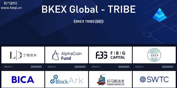 2022BKEX买卖所Tribe科普介绍，2022TRIBE详细说明-第1张图片-昕阳网