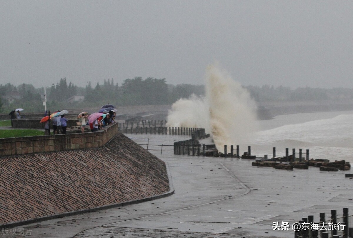 浙江(jiang)好玩的地方排行榜（乌镇(zhen)旅游攻略自由行）-第(di)11张图片-悠嘻资讯网