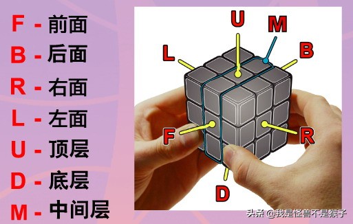 6面魔方还原方法口诀（魔方口诀表上左下左上左左下）-第2张图片-昕阳网