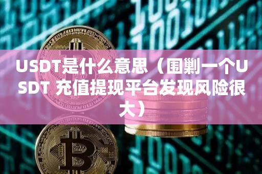 USDT是什么意思（围剿一个USDT 充值提现平台发现风险很大）-第1张图片-昕阳网