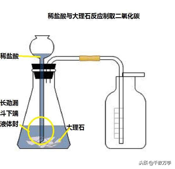 盐酸和碳酸钙的化学方程式（盐酸跟碳酸钙的化学方程式）-第5张图片-昕阳网