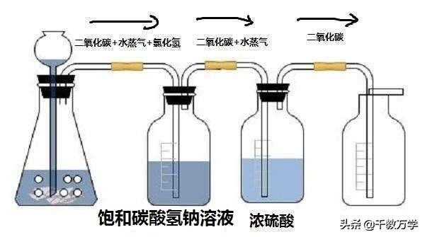 盐酸和碳酸钙的化学方程式（盐酸跟碳酸钙的化学方程式）-第9张图片-昕阳网