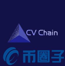 Curriculum Vitae是什么，有什么价值CVH官网团队-第1张图片-昕阳网