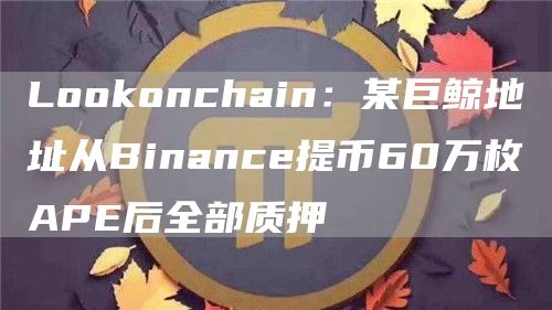 Lookonchain：某巨鲸地址从Binance提币60万枚APE后全部质押-第1张图片-昕阳网