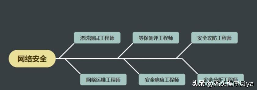 网络信息安全是学什么的（网络信息安全专业就业前景）-第2张图片-昕阳网