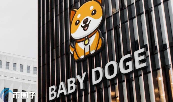 2022BABYDOGE币未来潜力怎么样，有什么价值宝贝狗值多少人民币，-第1张图片-昕阳网