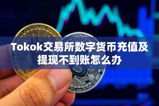 Tokok交易所数字货币充值及提现不到账怎么办-第1张图片-昕阳网