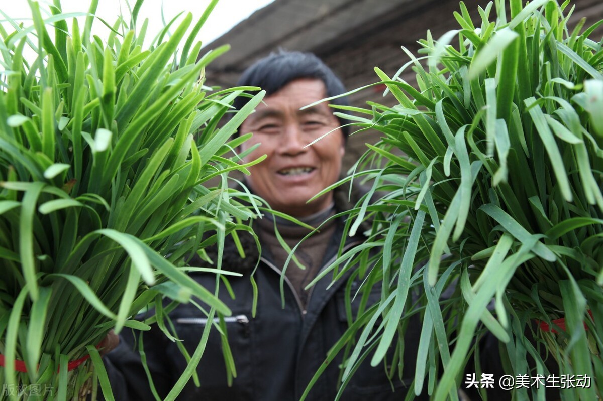 网络流行语韭菜是什么意思（网络词语韭菜是什么意思呢）-第2张图片-昕阳网