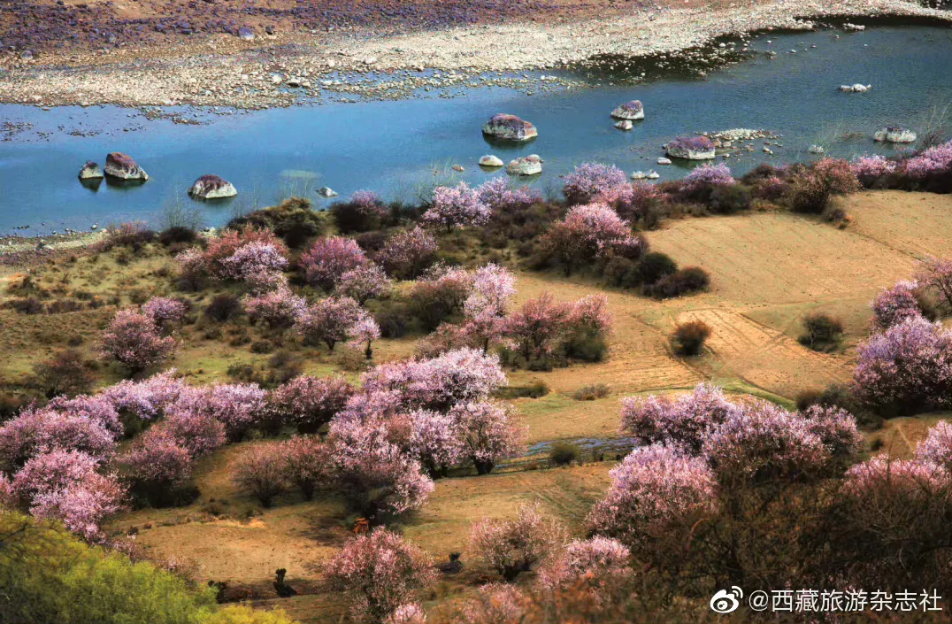 西藏最佳旅游时间是几月份（西藏旅游最佳季节是几月份）-第8张图片-昕阳网