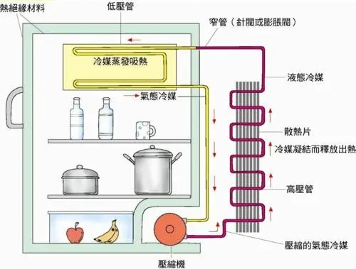 直冷冰箱和风冷冰箱哪个好（电冰箱排名前十名的品牌）-第6张图片-昕阳网