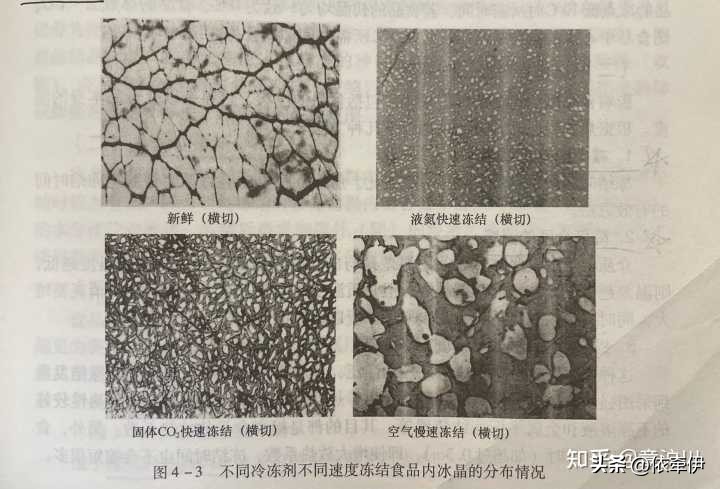 冰箱的冷冻一般是多少°c（夏天冰箱冷藏0-7档哪个合适）-第2张图片-昕阳网