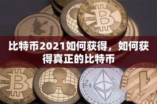 比特币2021如何获得，如何获得真正的比特币-第1张图片-昕阳网