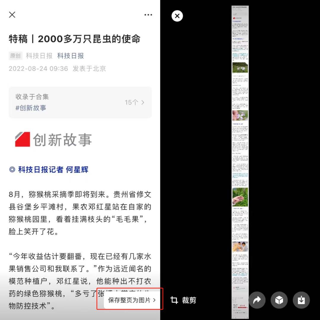 微信隐私项变灰色了怎么恢复（微信隐私项变灰色了怎么恢复朋友权限也灰了怎么办）-第5张图片-昕阳网