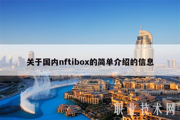 关于国内nftibox的简单介绍的信息-第1张图片-昕阳网