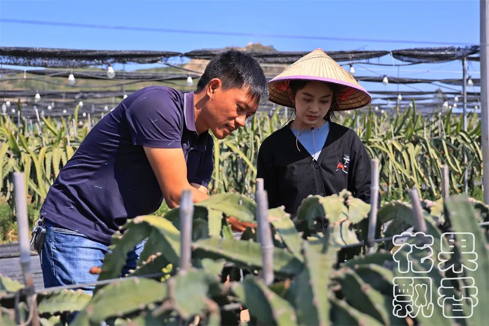 农业用地都可以经营什么项目（农业用地可以用来干什么）-第8张图片-昕阳网