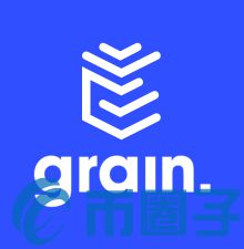 Grain.io是什么，有什么价值GRAIN官网、、团队-第1张图片-昕阳网