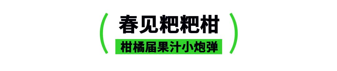 广州特产有哪些土特产送朋友（广东特产零食小吃送人）-第9张图片-昕阳网