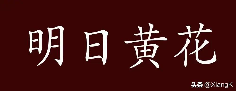 明日黄花是什么（明日黄花是什么意思）-第2张图片-昕阳网