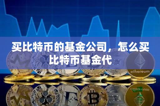 买比特币的基金公司，怎么买比特币基金代-第1张图片-昕阳网