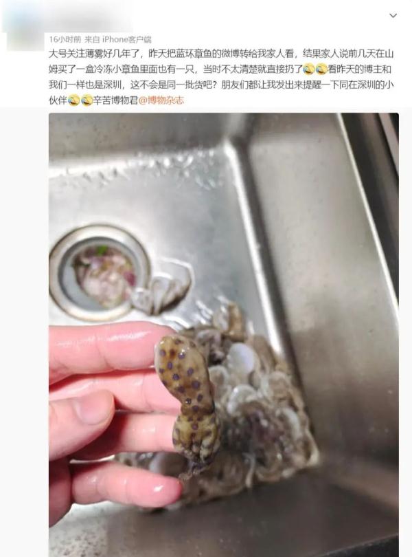 海鲜菇不能和什么食物一起吃（海鲜菇最佳搭配）-第2张图片-昕阳网