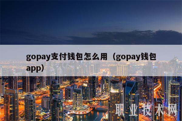 gopay支付钱包怎么用（gopay钱包app）-第1张图片-昕阳网