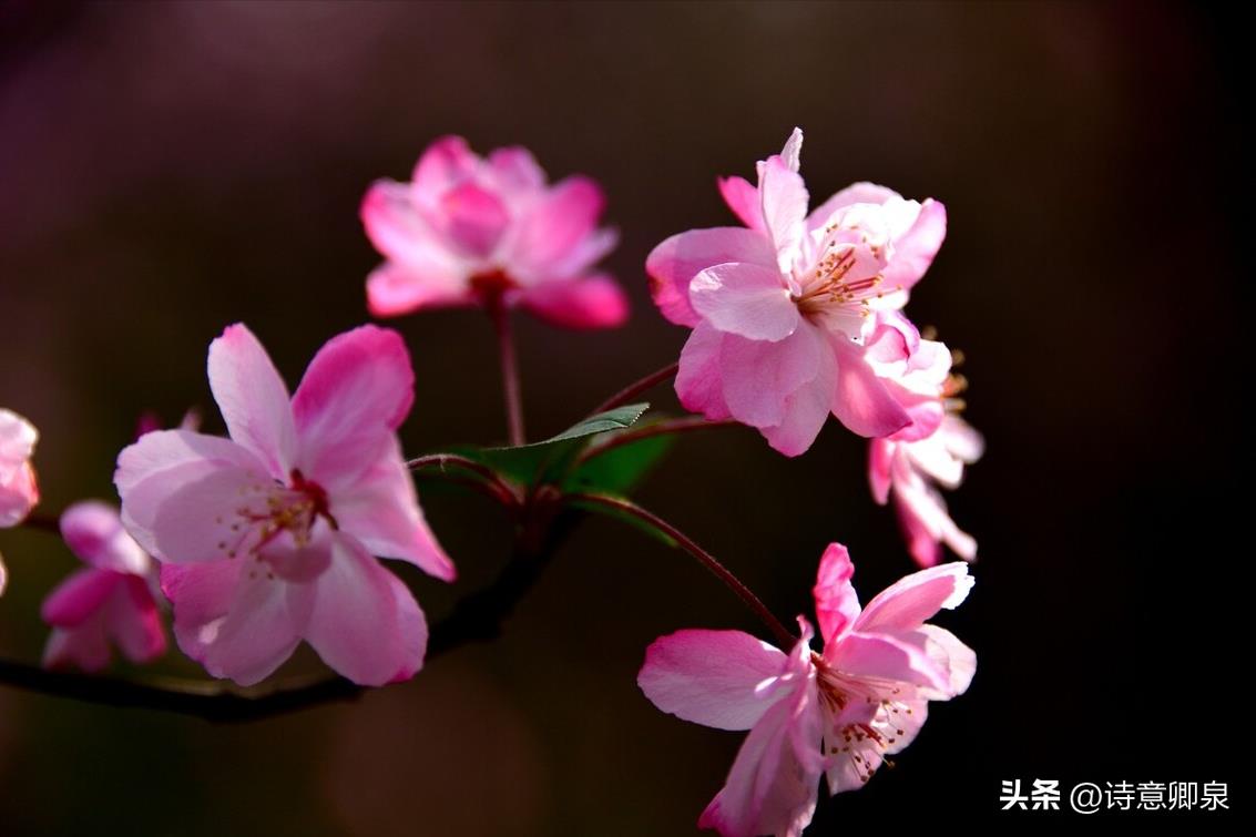 深深地深深地爱着你是什么歌（一生一世去爱你是什么歌）-悠嘻资讯网