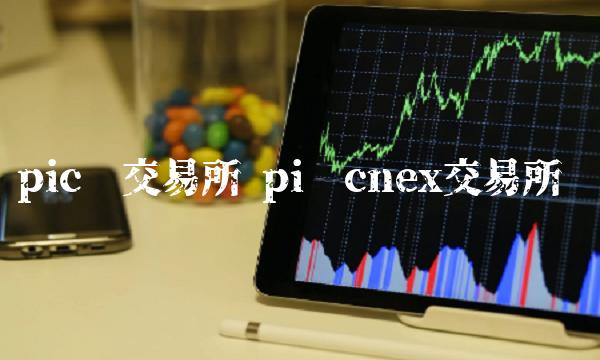 pic币交易所 pi币cnex交易所-第1张图片-昕阳网