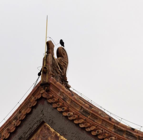 太阳从东边升起从西边落下（月亮从哪边升起哪边落下）-第10张图片-昕阳网