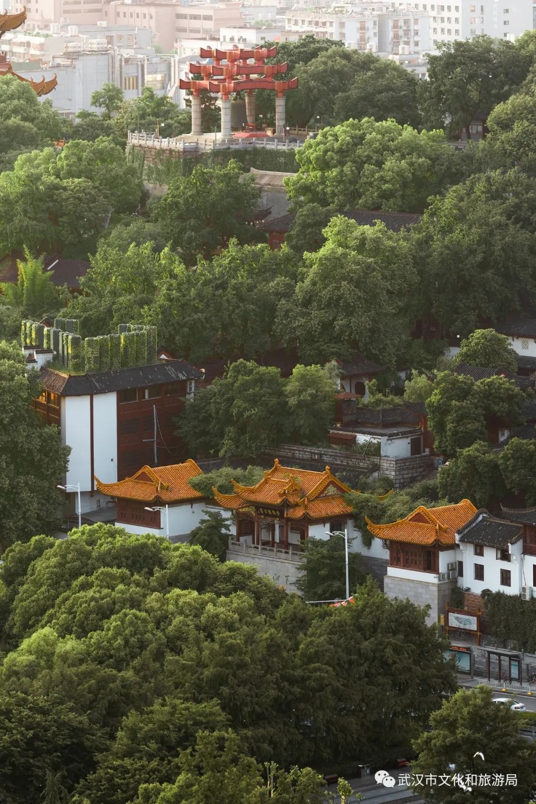 武汉哪里好玩的地方一日游（武汉市旅游景点大全排名）-第9张图片-昕阳网