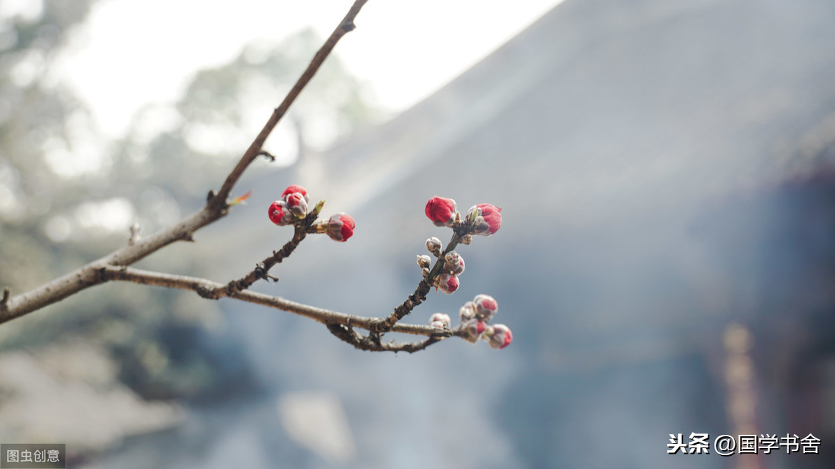 知其雄守其雌给人什么启示（知其雄守其雌的例子）-第3张图片-昕阳网