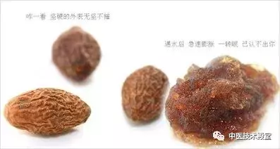 胖大海泡水喝的功效与作用（罗汉果泡水喝的功效与作用）-第1张图片-昕阳网