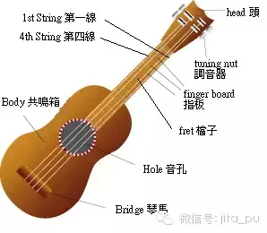 尤克里里1234567位置（尤克里里1234567位置图解 新手入门）-第1张图片-昕阳网