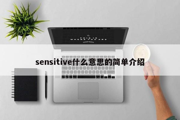 sensitive什么意思的简单介绍-第1张图片-昕阳网