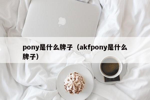 pony是什么牌子（akfpony是什么牌子）-第1张图片-昕阳网