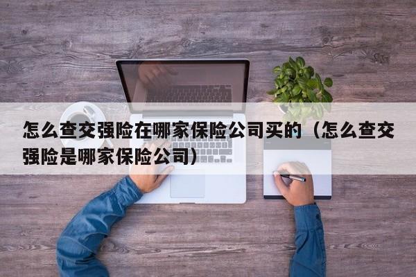 怎么查交强险在哪家保险公司买的（怎么查交强险是哪家保险公司）-第1张图片-昕阳网