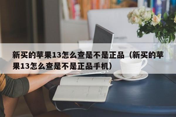 新买的苹果13怎么查是不是正品（新买的苹果13怎么查是不是正品手机）-第1张图片-昕阳网