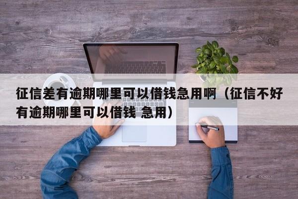 征信差有逾期哪里可以借钱急用啊（征信不好有逾期哪里可以借钱 急用）-第1张图片-昕阳网