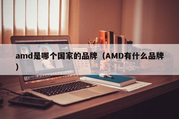 amd是哪个国家的品牌（AMD有什么品牌）-第1张图片-昕阳网