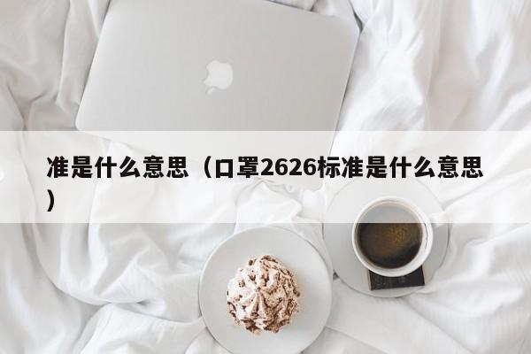 准是什么意思（口罩2626标准是什么意思）-第1张图片-昕阳网