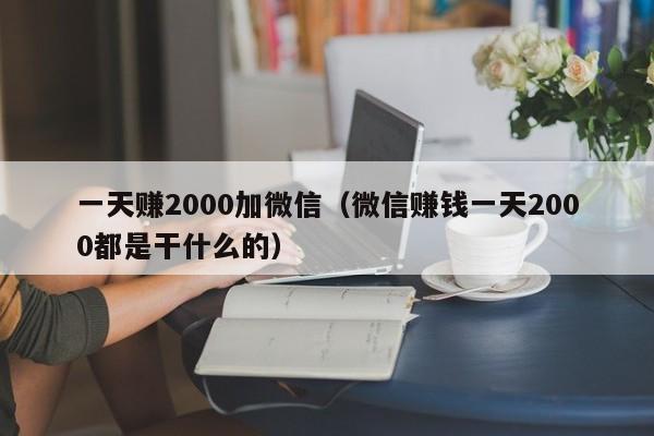 一天赚2000加微信（微信赚钱一天2000都是干什么的）-第1张图片-昕阳网