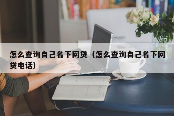 怎么查询自己名下网贷（怎么查询自己名下网贷电话）-第1张图片-昕阳网