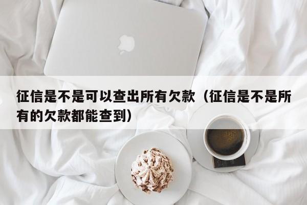 征信是不是可以查出所有欠款（征信是不是所有的欠款都能查到）-第1张图片-昕阳网