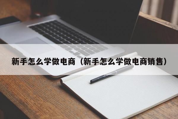 新手怎么学做电商（新手怎么学做电商销售）-第1张图片-昕阳网