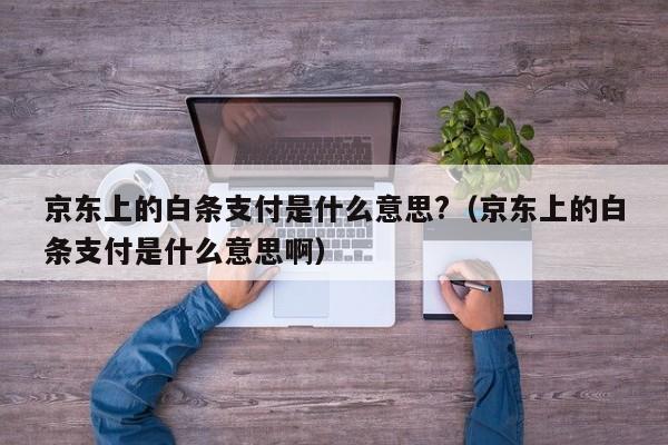 京东上的白条支付是什么意思?（京东上的白条支付是什么意思啊）-第1张图片-昕阳网