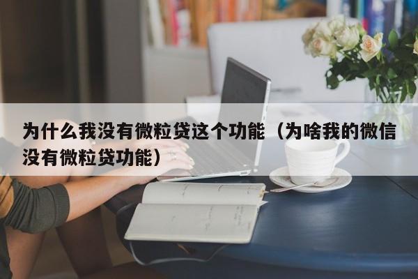 为什么我没有微粒贷这个功能（为啥我的微信没有微粒贷功能）-第1张图片-昕阳网