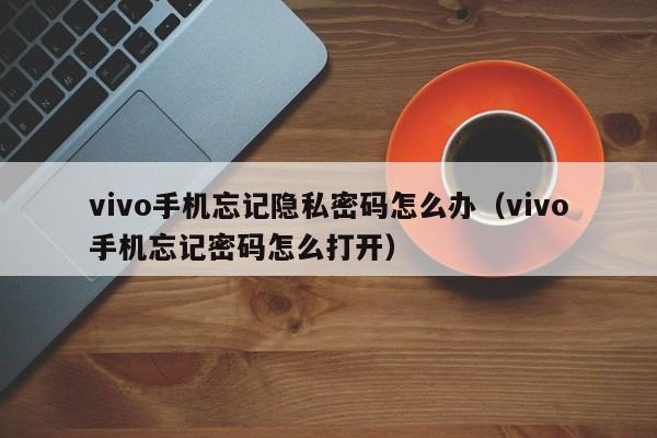 vivo手机忘记(ji)隐私密码怎么办（vivo手(shou)机忘记密码怎么(me)打开）-悠嘻资讯网(wang)