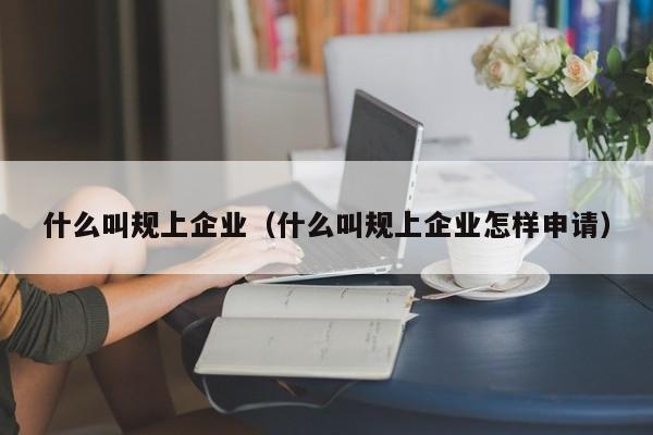 什么叫规上企业（什么叫规上企业怎样申请）-第1张图片-昕阳网