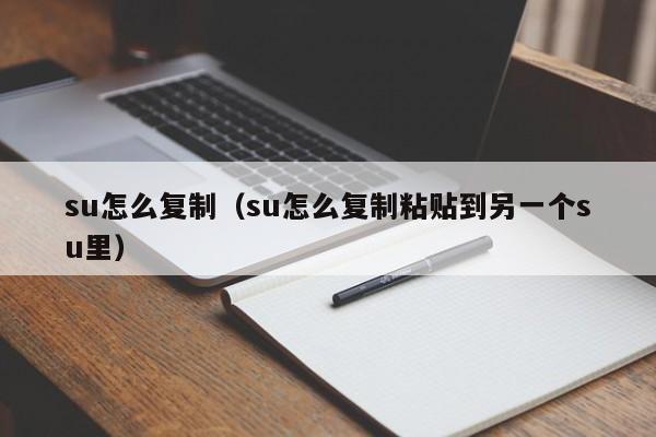 su怎么复制（su怎么复制粘贴到另一个su里）-第1张图片-昕阳网