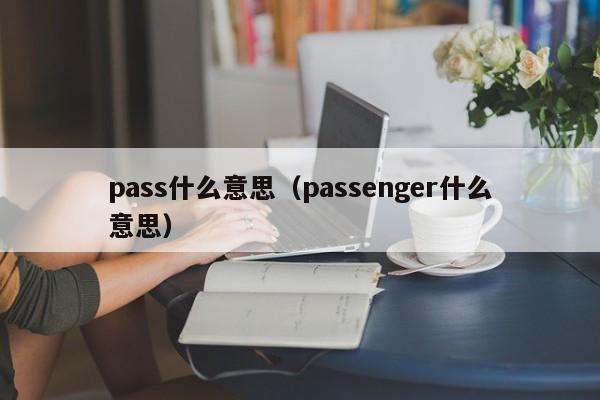 pass什么意思（passenger什么意思）-第1张图片-昕阳网